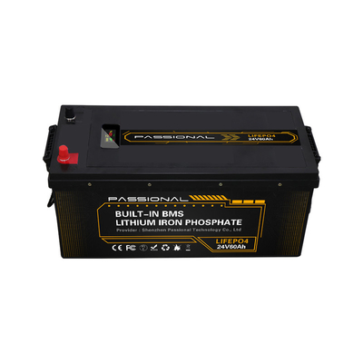 24V ricaricabile 60Ah sostituire la cassa dell'ABS della batteria al piombo per il carrello elevatore elettrico EV
