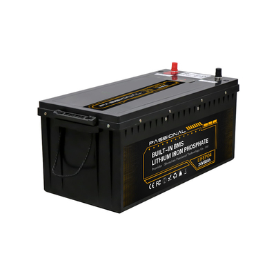 24V ricaricabile 60Ah sostituire la cassa dell'ABS della batteria al piombo per il carrello elevatore elettrico EV