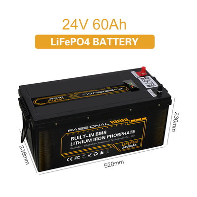 24V ricaricabile 60Ah sostituire la cassa dell'ABS della batteria al piombo per il carrello elevatore elettrico EV